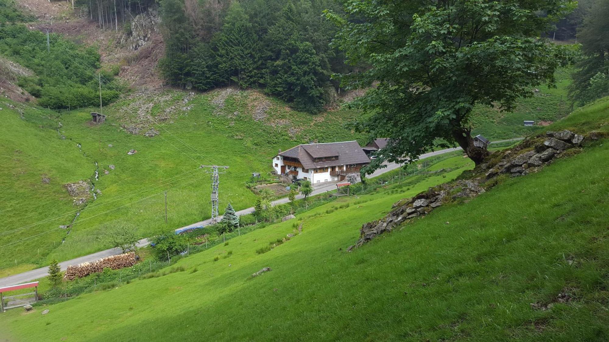 Bauernhaus Im Münstertal Eksteriør bilde