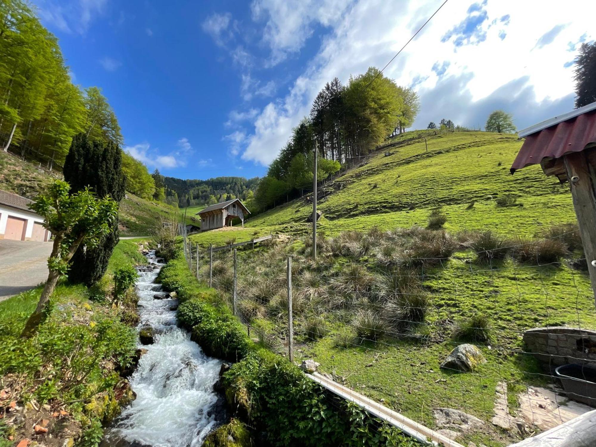 Bauernhaus Im Münstertal Eksteriør bilde