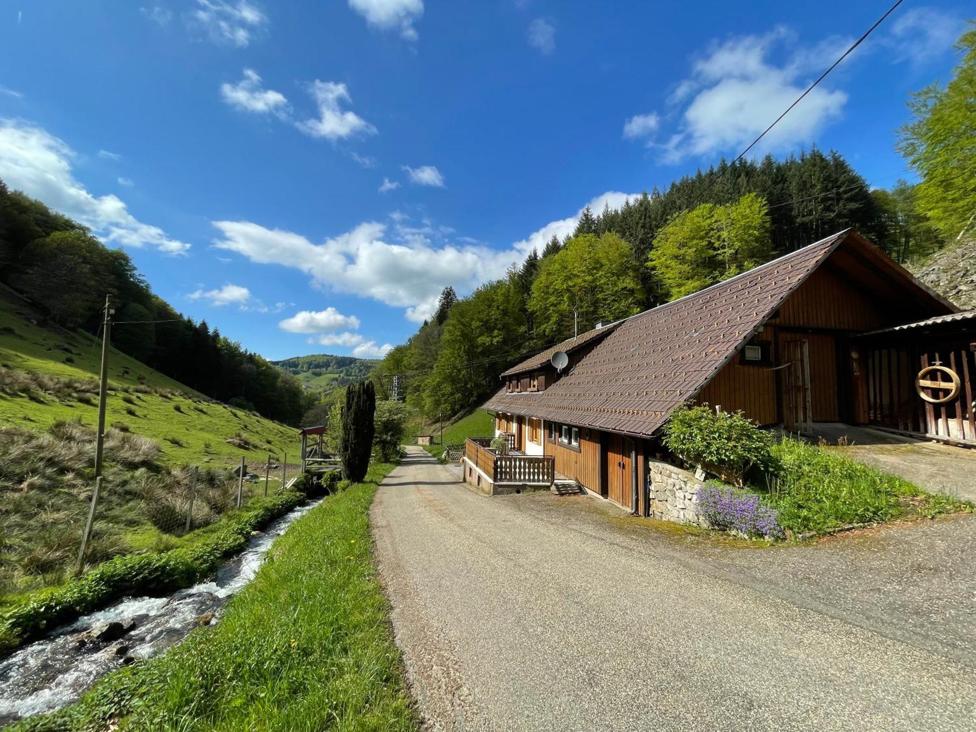 Bauernhaus Im Münstertal Eksteriør bilde