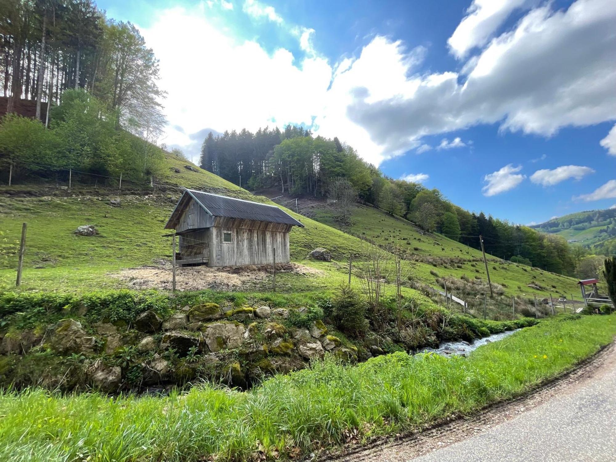 Bauernhaus Im Münstertal Eksteriør bilde