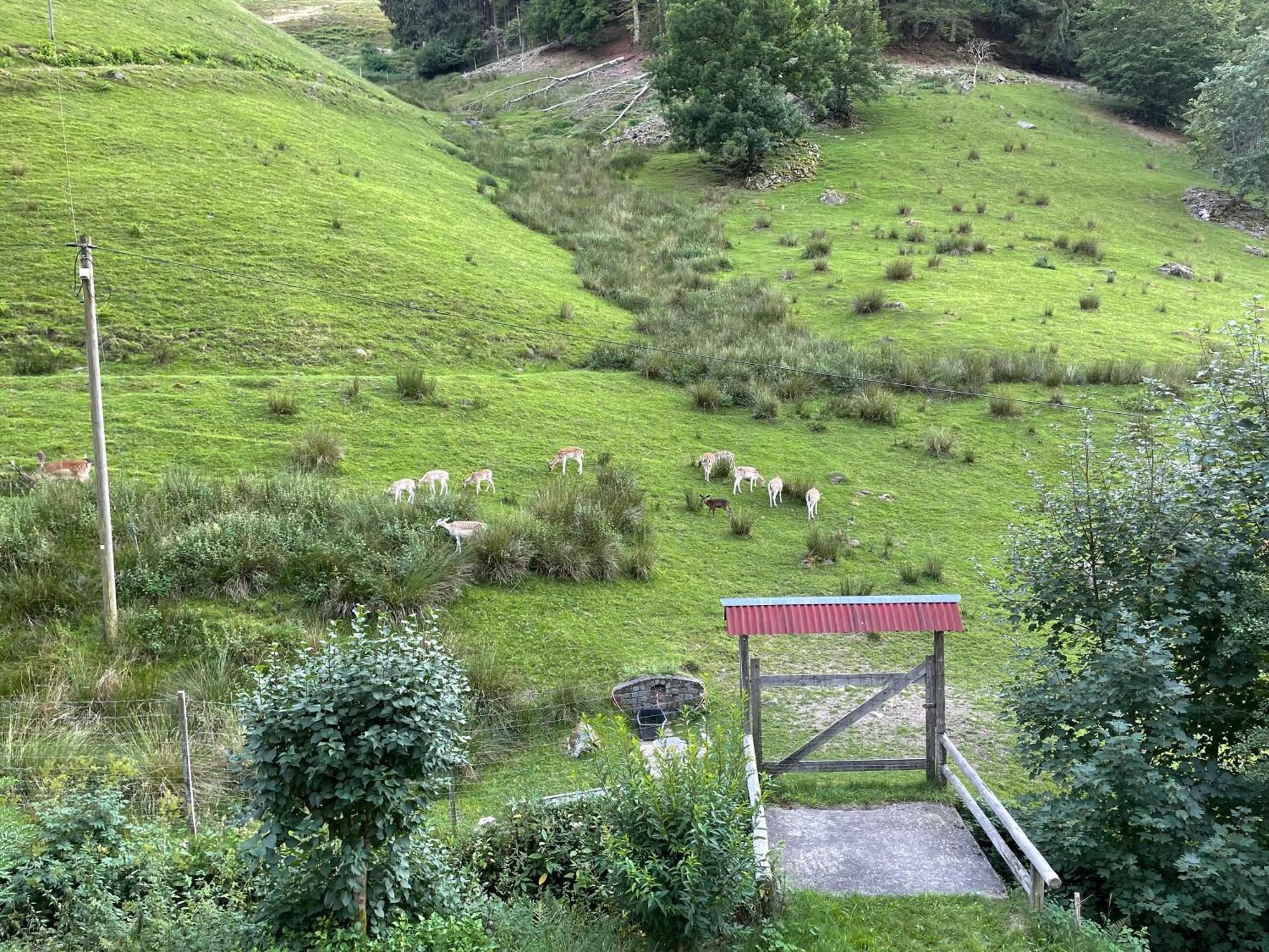 Bauernhaus Im Münstertal Eksteriør bilde
