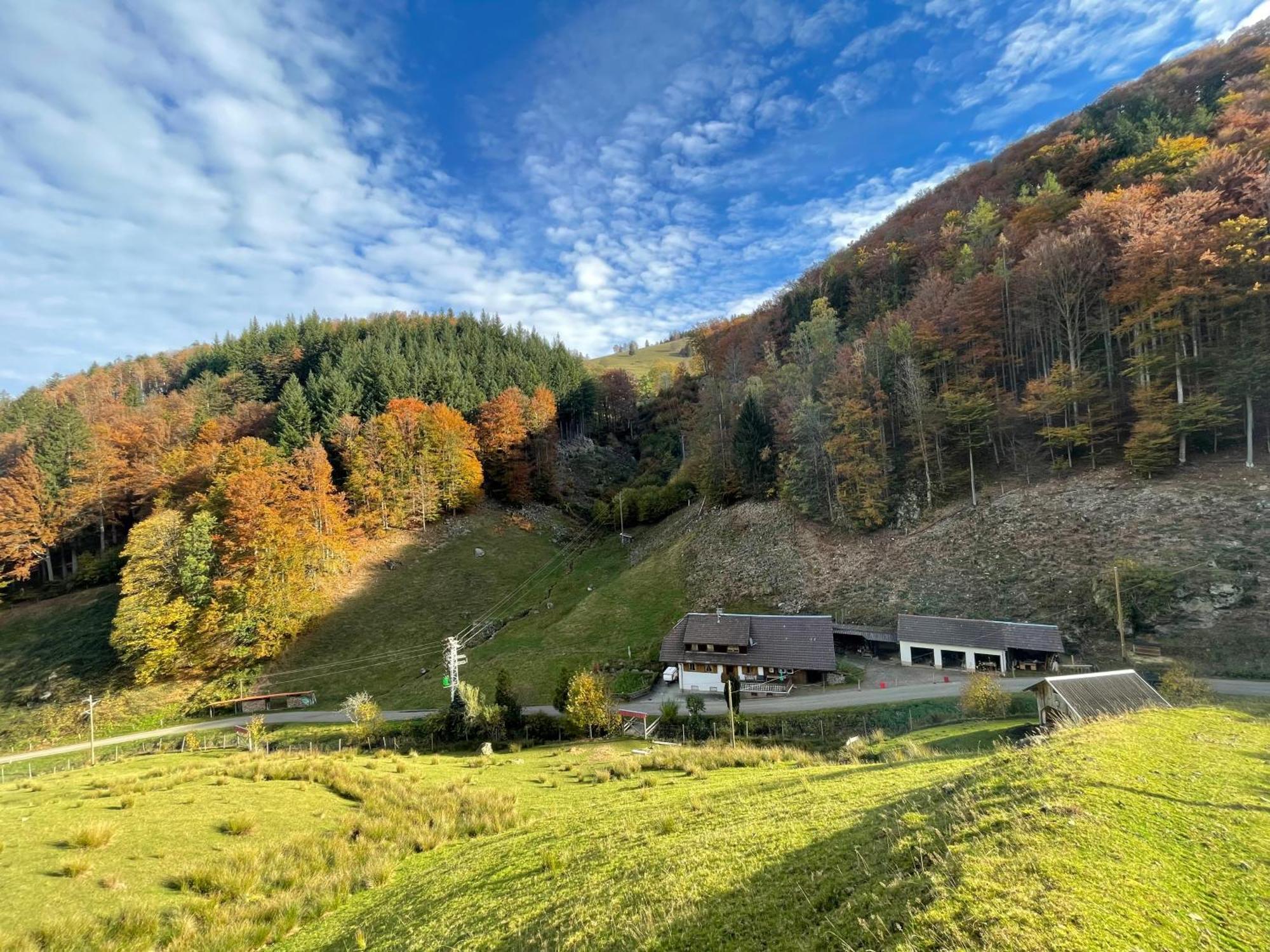Bauernhaus Im Münstertal Eksteriør bilde